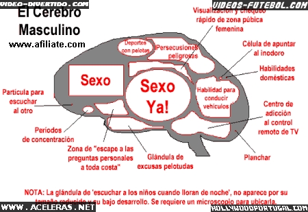 Cerebro do Homem